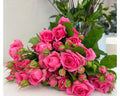 Spray rose “One top”