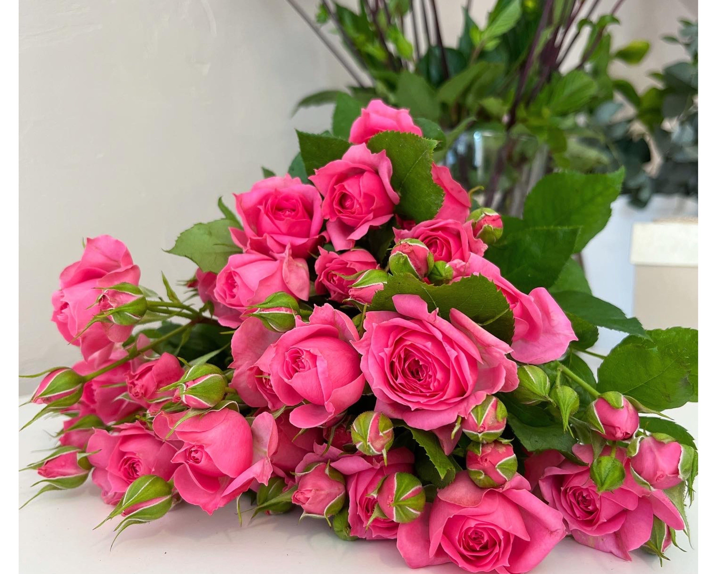 Spray rose “One top”