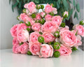 Small-flowered rose “Femke”
